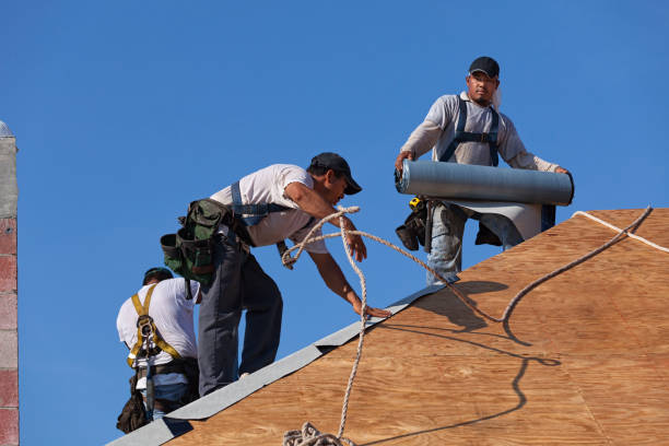 Best Emergency Roof Repair  in Manning, IA